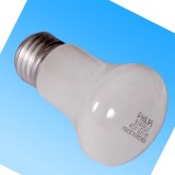 F燈泡 PHILIPS 40W 220V 螺口 已停產，找代用型號>>